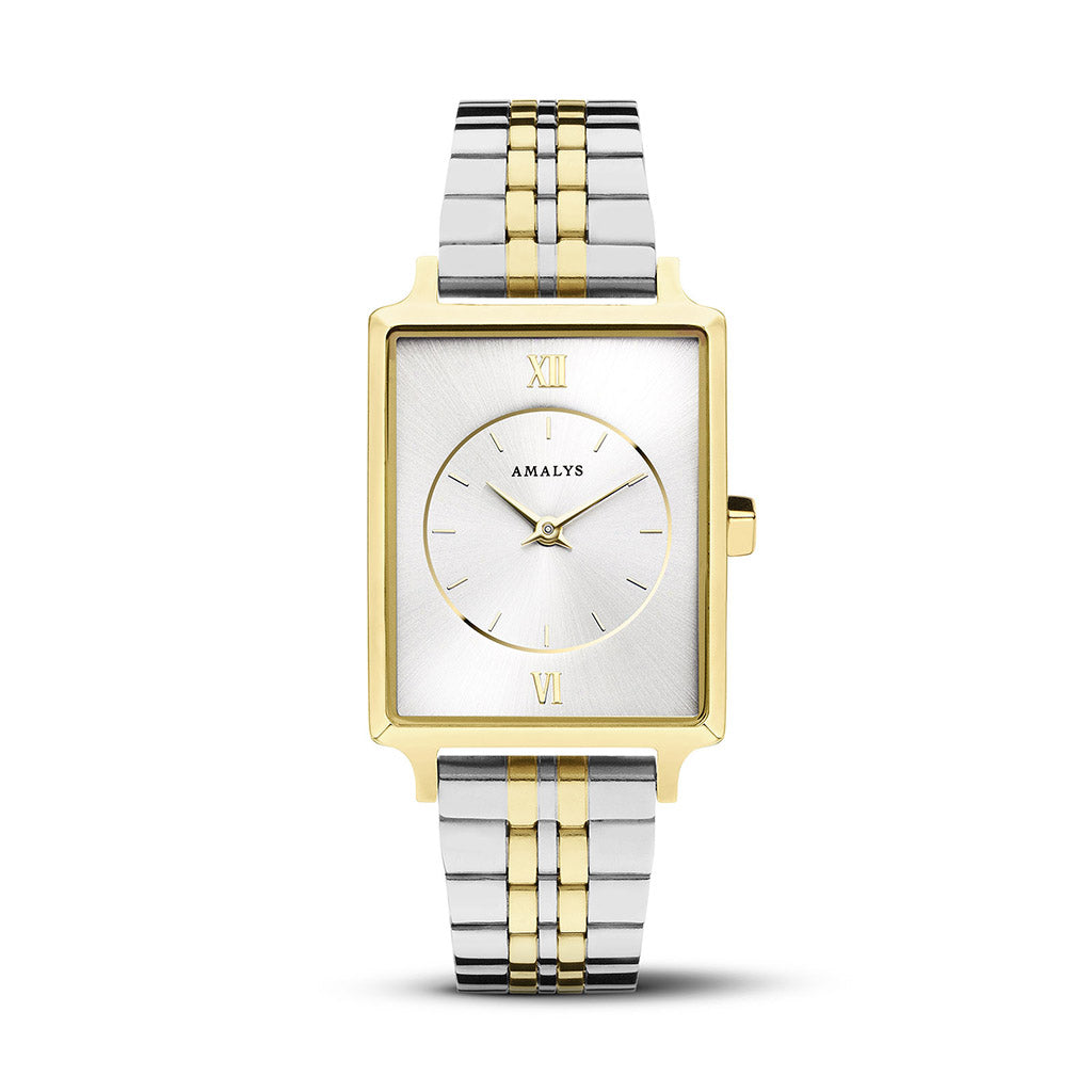 Silver & Gold Steel Link Strap / 14mm